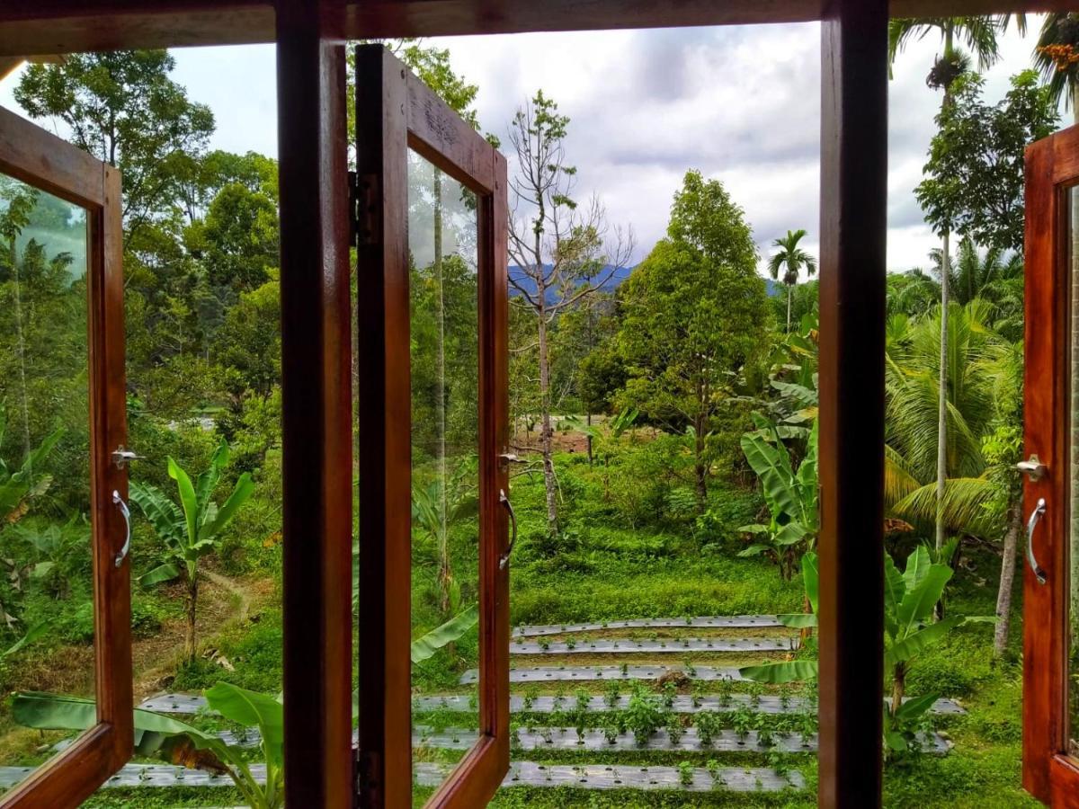 Sumatra Orangutan Discovery Villa บูกิตลาวัง ภายนอก รูปภาพ