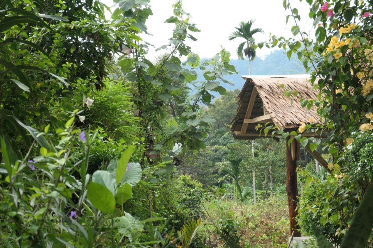 Sumatra Orangutan Discovery Villa บูกิตลาวัง ภายนอก รูปภาพ