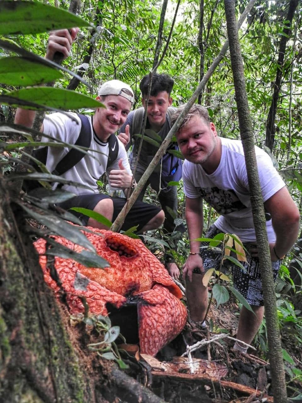 Sumatra Orangutan Discovery Villa บูกิตลาวัง ภายนอก รูปภาพ